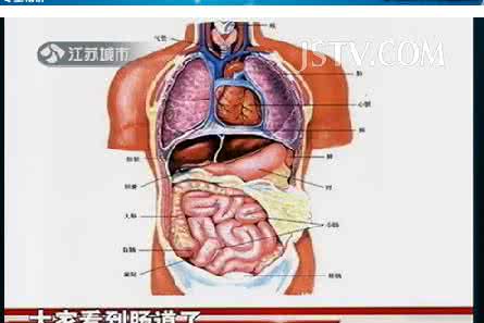 五脏六腑都痛 五脏六腑 右下腹痛是怎么回事