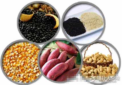 御寒食物 冬季“御寒”四类食物不可少