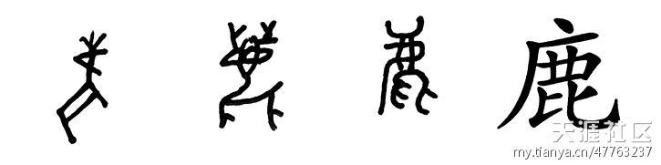 你争他抢都有份猜一字 一日一字一故事(348)争