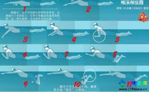蛙泳轻松入门迅速提高 蛙泳轻松入门迅速提高 手机和电脑迅速快捷互传文件的技巧 无需数据线解决手机和电脑轻松互传文件