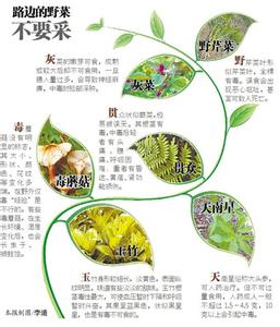 高血压动脉硬化 人到40预防动脉硬化，高血压来袭，这道野菜要常吃！