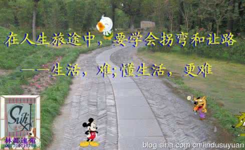 人生旅途 在人生旅途中,要学会拐弯和让路