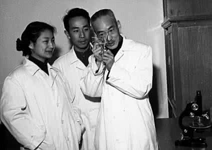 戴安澜和戴芳澜 戴芳澜