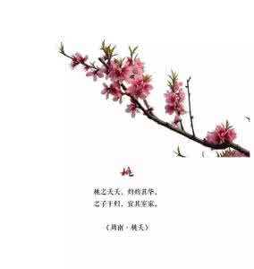品读诗经 品读诗经里的花花草草