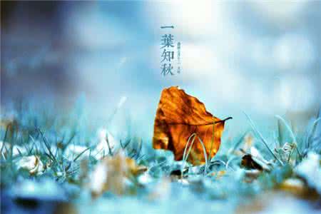 秋季如何养发 立  秋  养  生