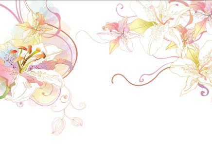 那年花开半夏 花开那年半夏不夏