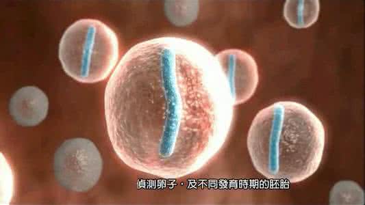 试管婴儿取卵子疼吗 试管婴儿取卵子疼吗 试管婴儿之检查卵子成熟度