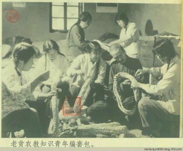 马车 老照片 知青老照片___坐马车的知青～（一）