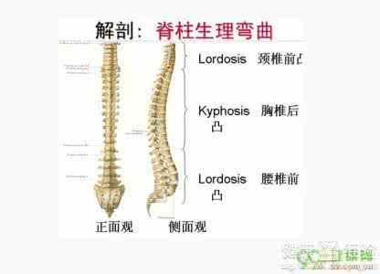 脊柱弯曲怎么治疗 脊柱弯曲 脊柱弯曲怎么治疗