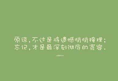 只有遗憾才是最美好的 原谅,不过是将遗憾悄悄掩埋;忘记,才是最深刻彻底的宽容