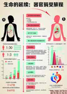 中国器官移植 我国器官移植需要有法制保障