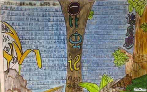 昆虫记手抄报图片大全 小学生昆虫记手抄报大全