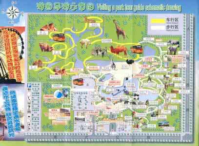 野生动物园门票价格 上海野生动物园 上海野生动物园门票价格