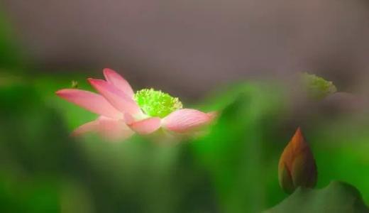 心 态 （经典好文！）