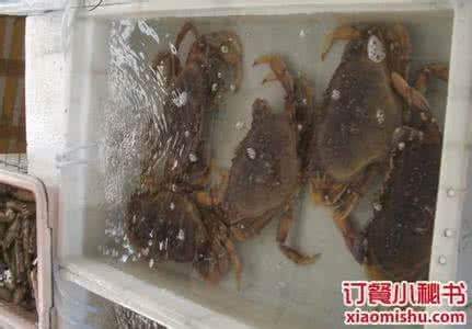 84消毒液伤手吗 海鲜刺到手如何消毒 被海鲜伤到手怎么消毒