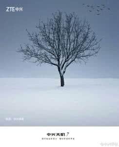 与智者为伍的经典语录 经典语录：思考时，要像一位智者；但讲话时，要像一位普通人