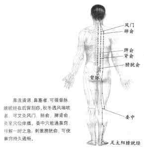 经络拍打养生法 经络养生——各种鼻炎的经络调治真法