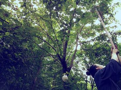 爱情是一场优雅的等待 178岁的爱情,隐居山间,优雅不迟暮!