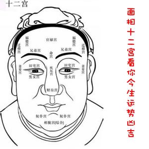 面相12宫看富贵吉凶 面相与命运 面相看你一生命运凶吉