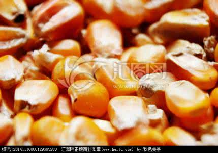 玉米粒炒肉末 【肉末辣炒玉米粒】——用1根儿老玉米，做道下饭菜