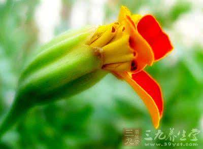 中老年修炼手册 中老年心理养生 如何修炼自己的心态