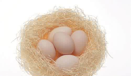 家有妙招油桶装鸡蛋图 鸡蛋存储妙招---确实妙呀！