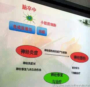 小胶质细胞活化 小胶质细胞在缺血性脑卒中后活化特点的研究进展
