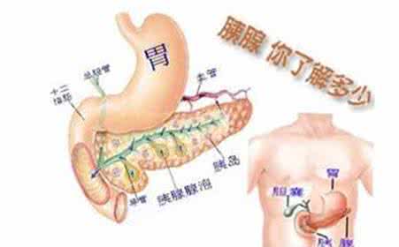 胰腺炎严重吗 胰腺炎严重吗 胰腺炎不能吃什么