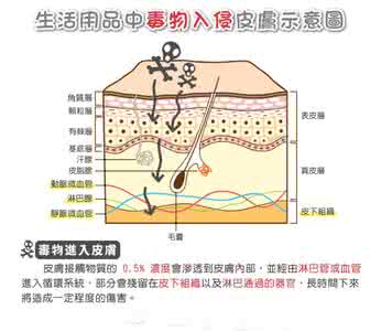 少量狂犬病毒侵入人体 经皮毒是怎么从皮肤侵入的