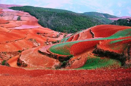 东川红土地 红土地形成原因？