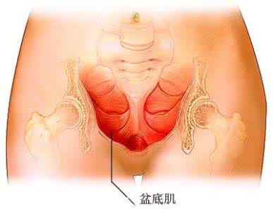 最简单缩阴运动图片 产后缩阴运动能恢复阴道弹性吗：剖腹产亦能造成阴道松弛