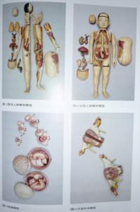 清宫年节会在东西六宫 清宫要准备什么东西？