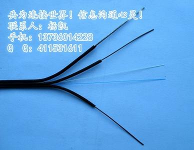 双心皮草 双心皮的