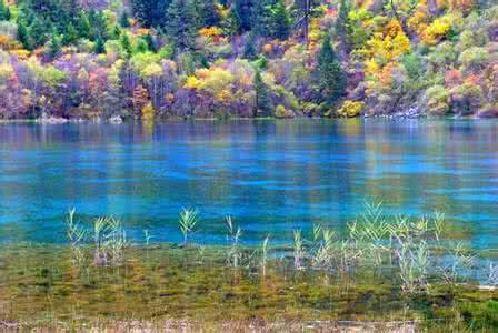 九寨沟美景 九寨沟的十大美景,一定要看看~