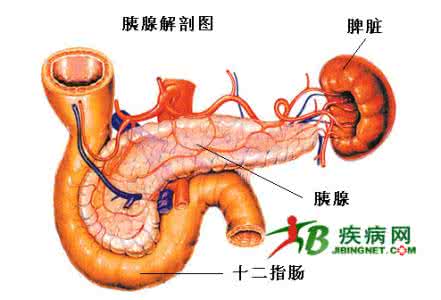 癌症独特秘方绝招 独特的治胆囊炎绝招