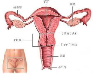 龟头瘙痒治疗方法 孕期阴部瘙痒的原因及治疗方法