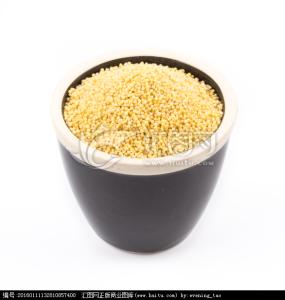 健胃养脾 小米重在养脾健胃