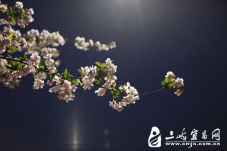 聆听孩子的心声 聆听，雨的心声