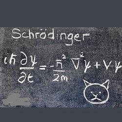 薛定谔的女朋友定律 薛定谔 薛定谔定律