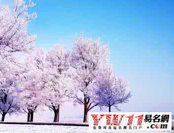 描写雪景的优美句子 描写雪景的优美句子:雪景的优美句子49篇