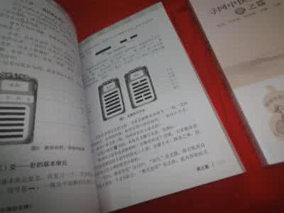 寻回中医失落的元神 “寻回中医失落的元神”系列之一