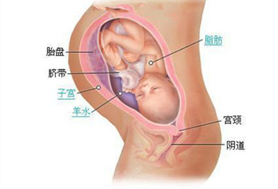 几个月查胎儿发育 几个月查胎儿发育 宝宝0到3岁发育图解！几个月坐，站，走