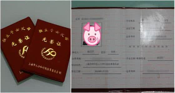 独生子女证 独生子女证 引导独生子女释放情绪