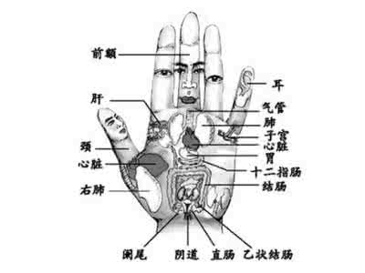 第二掌骨侧全息诊疗法 手的第二掌骨全息穴位图与疾病治疗秘诀