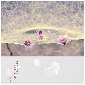恬淡为上,胜而不美意思 恬淡为上 胜而不美