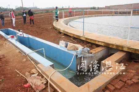 养鱼废水处理 养鱼废水处理 养鱼的水什么样的好 要如何处理呢