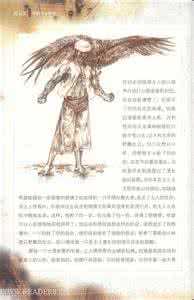 一只猎雕的遭遇 一只猎雕的遭遇的体会 读一只猎雕的遭遇有感