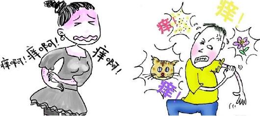 瘙痒症和湿疹 名医神方:皮肤湿疹瘙痒症根治只花一元钱马铃薯敷!