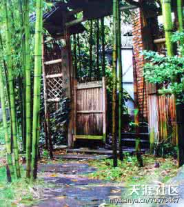 萧条庭院 写作手法 庭院设计手法举隅