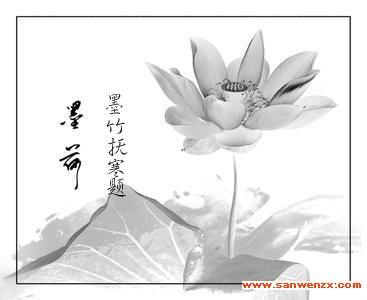 醉心柠香 墨荷香韵醉心怀